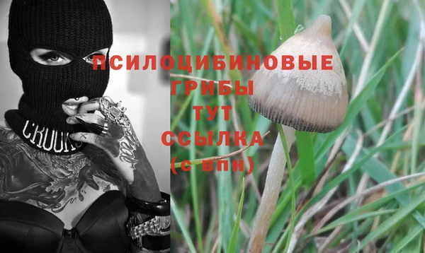 прущая мука Костерёво