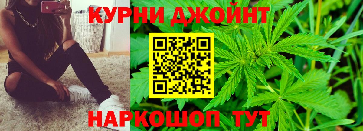 Конопля марихуана Углич